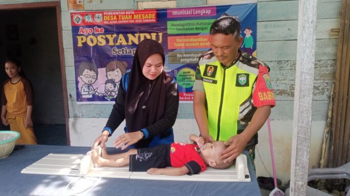 Wujudkan Balita Sehat, Babinsa Dampingi Kegiatan Posyandu