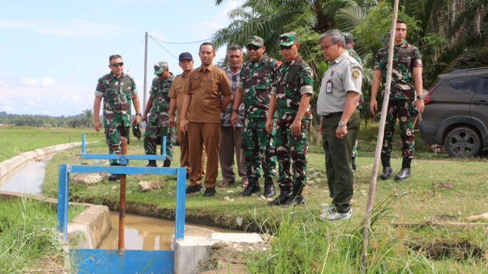 Kasdam IM Tinjau Hasil Optimasi Lahan Rawa di Wilayah Kodim 0104/Aceh Timur.