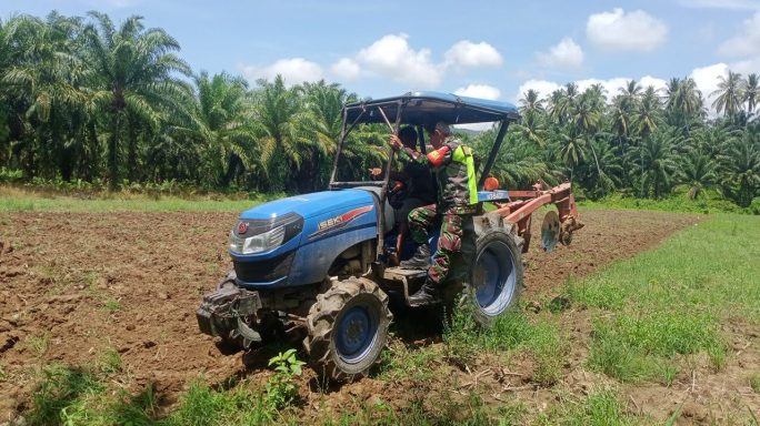 Babinsa Terjun Kelapangan Dampingi Petani Bajak Lahan Tanaman Cabe