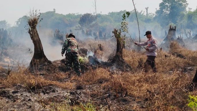 TNI Padamkan 2 Titik Api di Lahan Gambut Babahrot