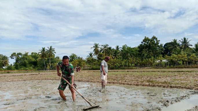 Dukung Musim Tanam, Serma Joko Bantu Petani Desa Peulawi Buat Petakan Benih Padi