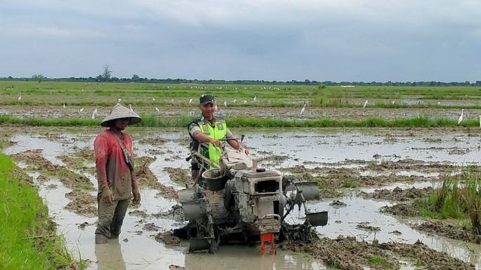 Dengan Sigap, Babinsa Koramil 21/Madat Serda Ulin Nuha Bantu Petani Bajak Sawah Menggunakan Traktor
