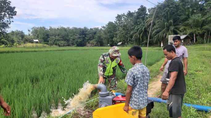 Babinsa Paya Bedi Dampingi Poktan Melalui Program Pompanisasi