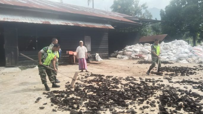Babinsa Anjangsana Ke Desa Binaan Bantu Jemur Kulit Coklat/Cacao..