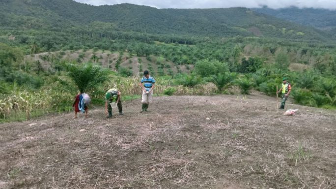 Selalu Ada Di Tengah Tengah Petani Babinsa Bantu Tanam Jagung. Wujud Pendampingan