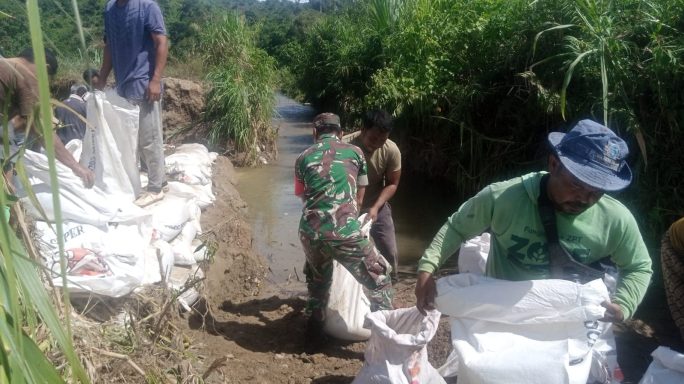 Respons Cepat Koramil 13/Kluet Timur Bantu Masyarakat Perbaiki Tanggul Jebol, Lindungu Lahan Persawahan Warga Lawe Cimanok