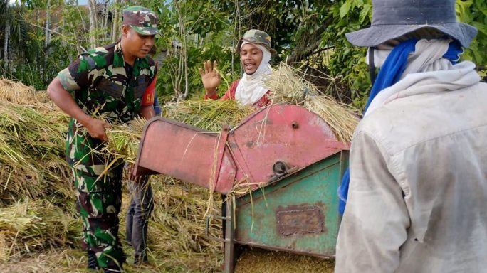 Wujudkan Ketahanan Pangan, Babinsa Lamtamot Terjun Bantu Petani di Gampong Lamtamot