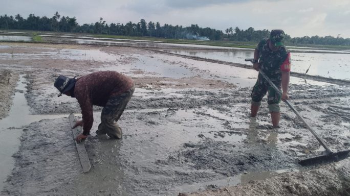 Babinsa Koramil 21/Madat, Terjun Langsung Bantu Petani Olah Sawah