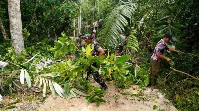 Babinsa dan Warga Pulo Masjid II Bersihkan Jalan ke Kebun: Sinergi Membangun Desa