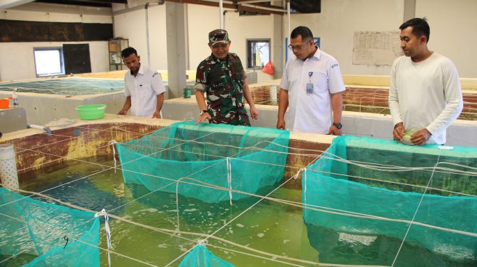 Sinergi Kodim 0101 dan BPBAP Ujung Batee: Membangun Ketahanan Pangan melalui Budidaya Perikanan  