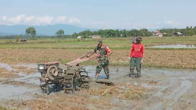 Babinsa Koramil 10/Glumpang Tiga Lakukan Giat Pengolahan Lahan Petan Di Desai Blang Tunong