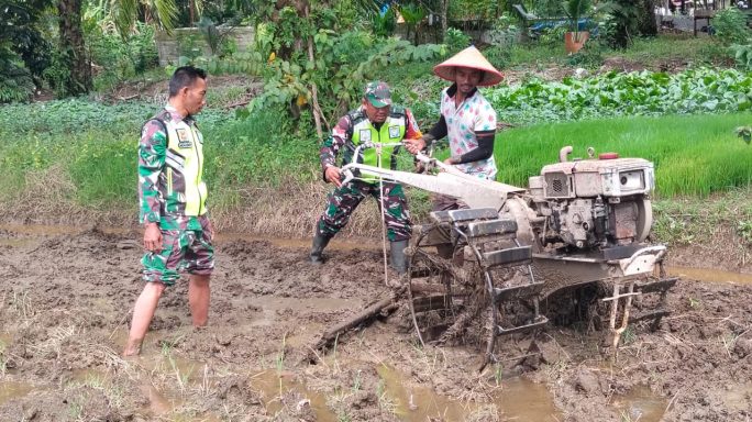 Wujud Nyata Kedekatan dengan Warga, Babinsa bantu Petani Membajak Sawah