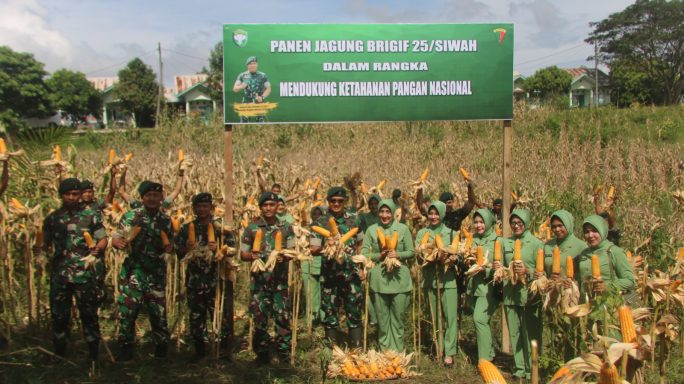 Panen Perdana Jagung di Lahan Ketahanan Pangan Brigif 25/Siwah