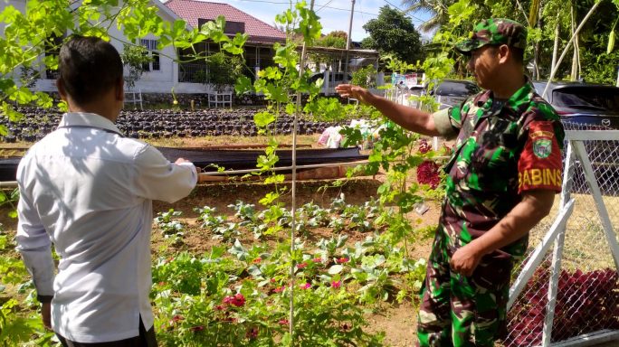 Dukung Pertanian, Babinsa Lamteumen Barat Kunjungi Pembibitan Cabai dan Sayuran
