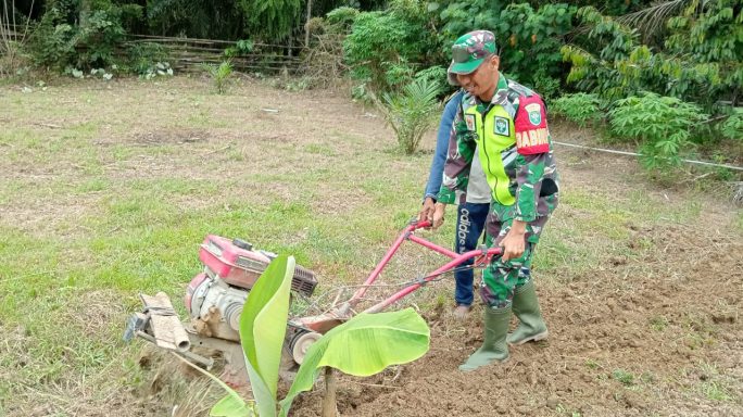 Serda Edi Witoko Bantu Petani Mengolah Lahan Pertanian Kacang Tanah