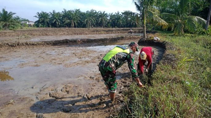 Babinsa Koramil 04/Bendahara Bantu Petani Mengolah Lahan Dengan Cara Manual