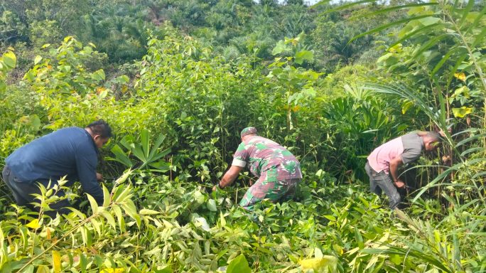 Bahu-Membahu, Sertu Ibnu Sina dan Warga Desa Mane Rampak Siapkan Lahan untuk Tanam Padi Darat