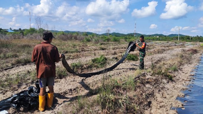 Dari Tambak ke Ladang Semangka : Babinsa Siapkan Revolusi Pertanian”