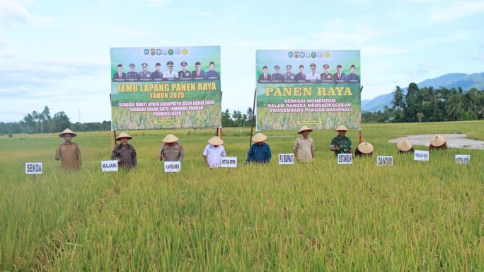 Hadiri Panen Raya, Dandim Abdya Puas Tonase Padi 1 Ha Sawah Capai 8 Ton