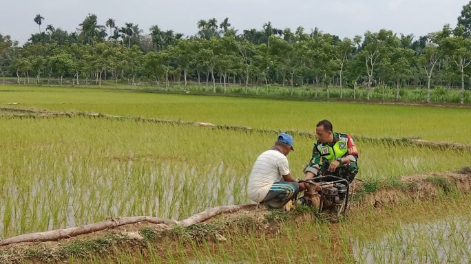 Pastikan Berfungsi Dengan Baik, Babinsa Koramil 06/Manyak Payed Cek Pompa Pengairan Sawah Bantuan
