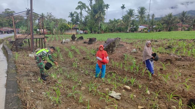 Dalam Rangka Meningkatkan Ketahanan Pangan Babinsa Selalu Siap Membantu Warga