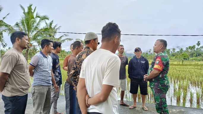 Sukseskan Ketahanan Pangan Nasional, Babinsa Himbau Warga Turun Sawah