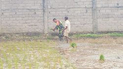 IMG-20250125-WA0002