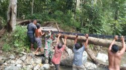 IMG-20250128-WA0006