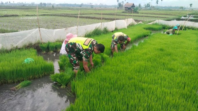 Bukti Nyata TNI untuk Rakyat: Pangdam IM Prioritaskan Ketahanan Pangan demi Stabilitas dan Kesejahteraan Aceh.