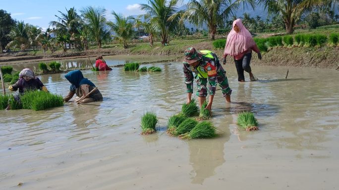 Pangdam IM: “TNI agar Bantu Petani Aceh untuk Tingkatkan Hasil Panen”.