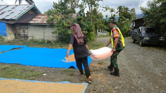 Prajurit TNI Turun ke Sawah: Kodam IM Jadi Garda Terdepan Ketahanan Pangan di Aceh.