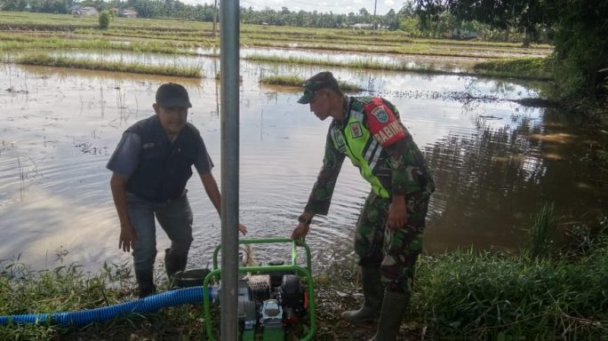 Sukseskan Ketahanan Pangan, Serda Adi Dampingi Petani Operasikan Mesin Pompa Air
