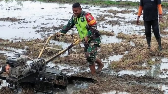Kodam IM selesaikan Program Optimasi Ribuan Hektar Lahan di Aceh.