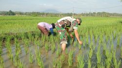 IMG-20250201-WA0041(1)