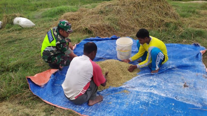 Serda Jumadika Bantu Petani Sortir Gabah Agar Mendapatkan Kualitas Baik