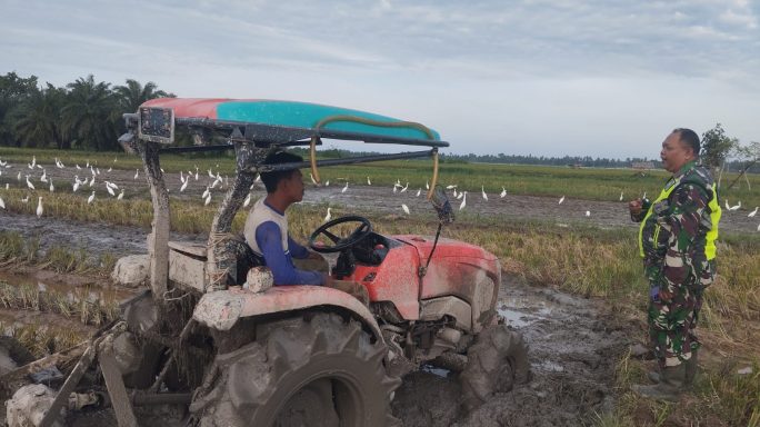 Babinsa Koramil 09/Banda Mulia Dampingi Petani Lakukan Pengolahan Lahan