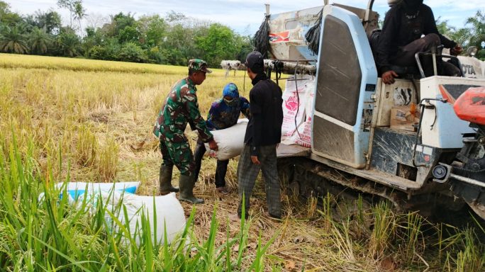 Kebersamaan TNI dan Petani, Ramadhan Jadi Momen Panen Berkah”
