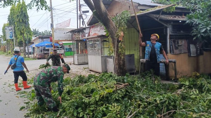 Aksi Cepat Babinsa dan PLN: Cegah Gangguan Listrik Akibat Dahan Menjuntai