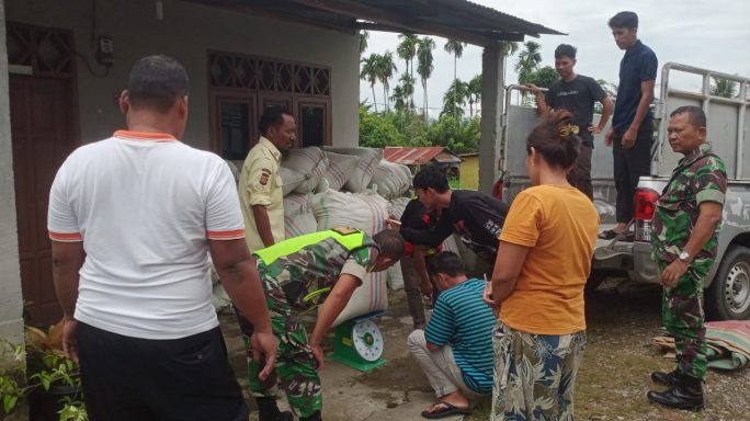 Babinsa Dampingi Bulog Serap Gabah Petani Di Wilayah Binaan