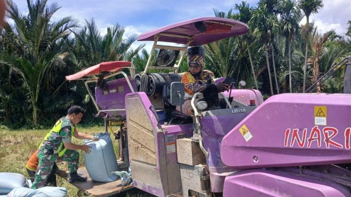 Hadir Dampingi Petani, Babinsa Bantu Angkut Hasil Panen Padi