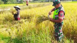 petani