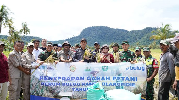 Dukung program Sergab, Pangdam IM : Seluruh Babinsa Kodam IM bergerak bantu penyerapan gabah petani di Wilayah.