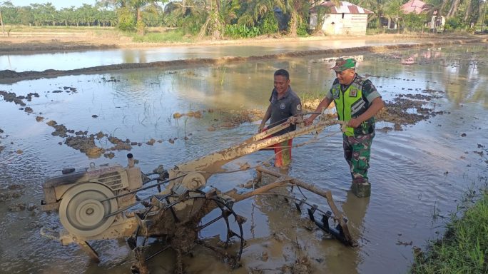 Babinsa Bantu Petani Bajak Sawah untuk Siapkan Lahan Pertanian