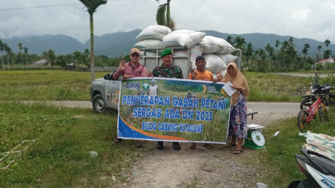 Danpos ramil Lawe Bulan Tinjau Langsung Penyerapan Gabah Petani Oleh Buloq Agara