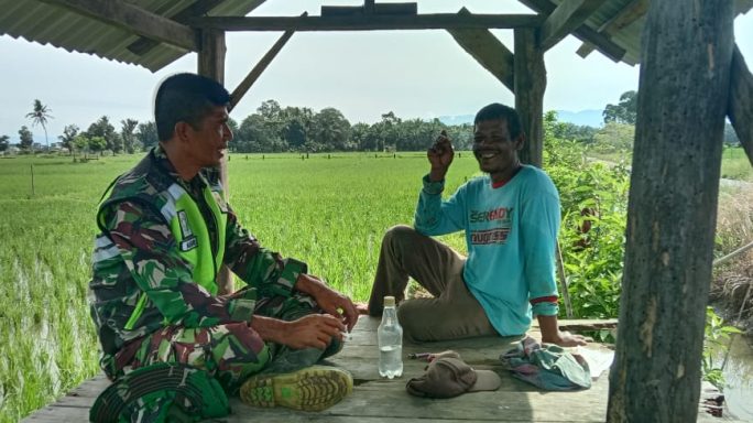 Babinsa Ngobrol Santai di Sawah, Membahas Harga Gabah dengan Petani