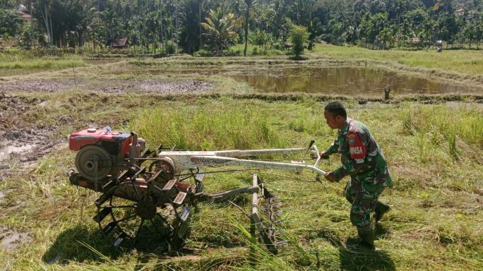 Wujudkan Swasembada Pangan, Babinsa Bantu Petani Bajak Sawah