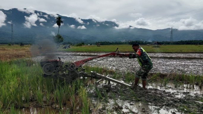 Babinsa Terjun ke Lapangan Dampingi Petani Bajak Sawah