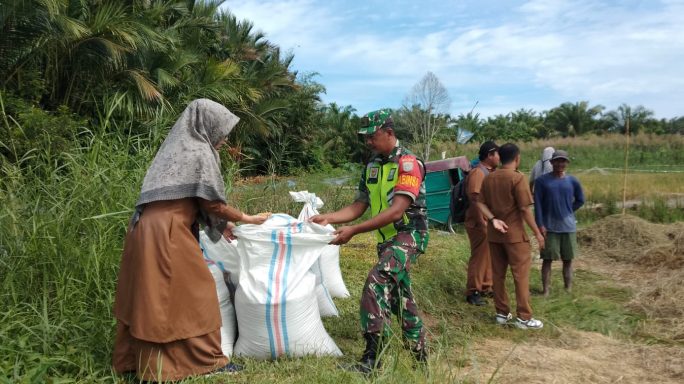 Babinsa dan PPL Tinjau Lahan Sawah dan Pompanisasi