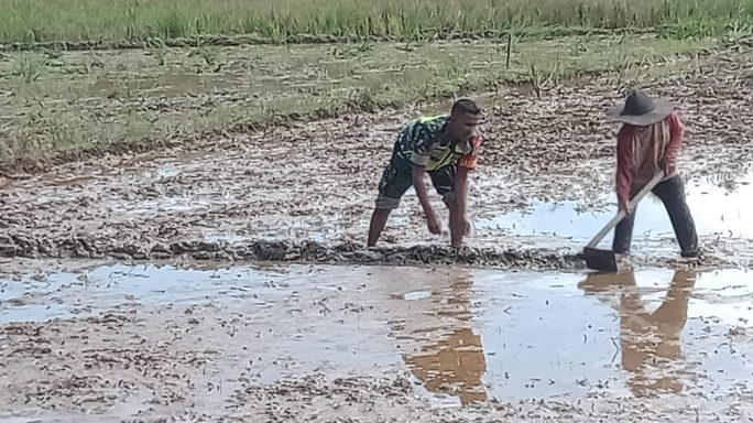 Meringankan Pekerjaan Petani, Babinsa Bantu Pembuatan Pematang Sawah