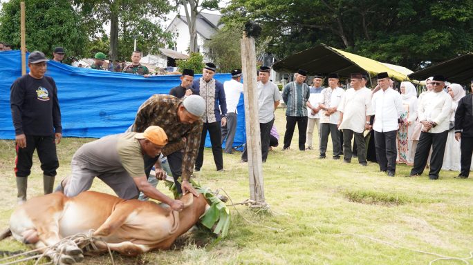 Sambut Idul Adha 1446 H, Kodam IM Gelar Penyembelihan Hewan Kurban di Makodam IM.